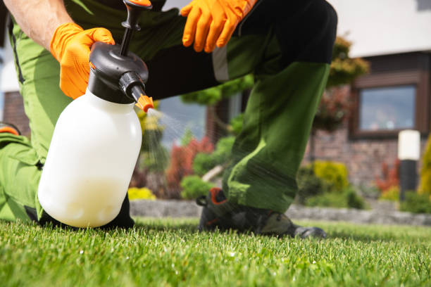 Best Exterminator Services  in Greenfield, IL