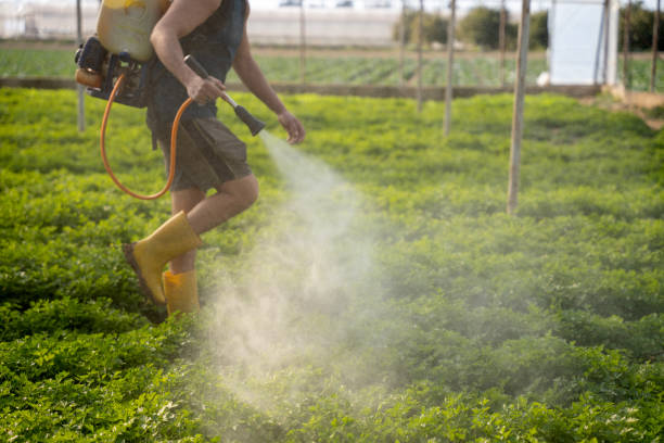 Best Best Pest Control Companies  in Greenfield, IL
