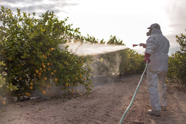 Best Pest Control Near Me  in Greenfield, IL