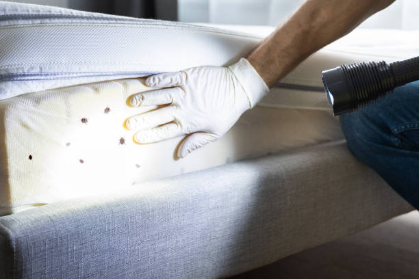 Best Bed Bug Extermination  in Greenfield, IL