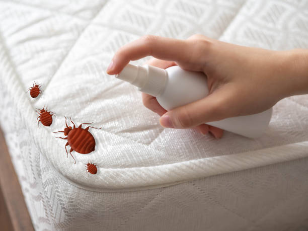 Best Insect Control  in Greenfield, IL
