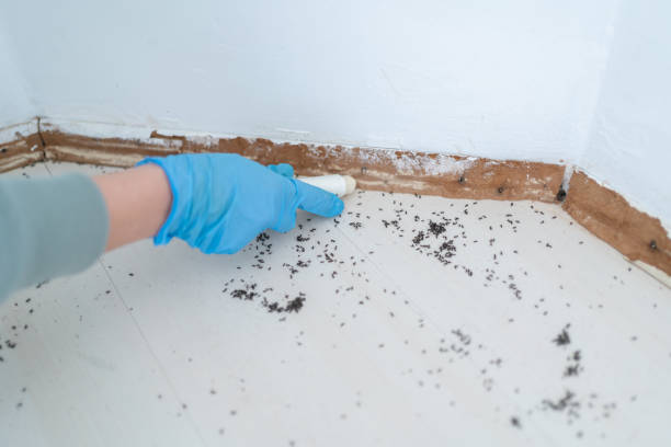 Best Mosquito Control Services  in Greenfield, IL